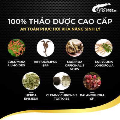 Viên uống phục hồi và tăng cường sức khỏe sinh lý nam giới Powergra Rino - Vỉ dùng thử 1 viên