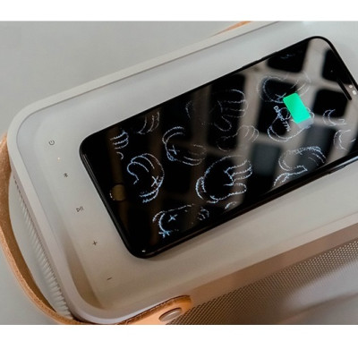 LOA B&O BEOLIT 20 Công suất 70W Pin 8H - Hàng Chính hãng - ZAMACO AUDIO