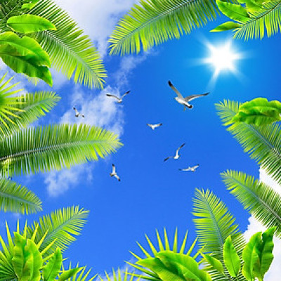 Tranh trần nhà 3D bầu trời lá xanh 4 TN50