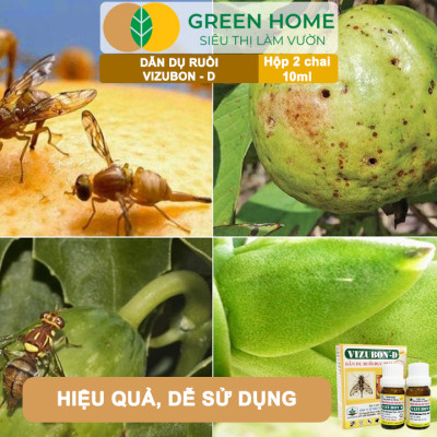 Chế Phẩm Dẫn Dụ Ruồi Vàng Đục Trái VIZUBON-D, GreenHome, 10ml, Không Cần Phun Xịt, An Toàn Cho Người