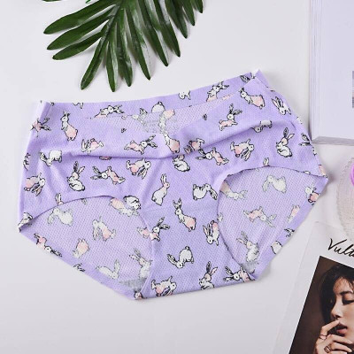 Combo 10 quần lót su hoa thông hơi- LN016 ( mẫu ngẩu nhiên)