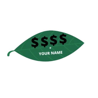 Lá Nguyệt Quế - Bay leaf may mắn (lá lành / lá vỡ) theo lựa chọn