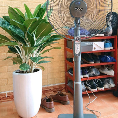 Quạt đứng Hali ST2-R có remote điều khiển từ xa - Màu ngẫu nhiên