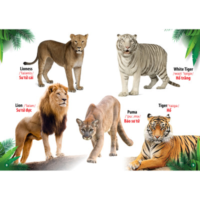 Từ Điển - Thư Viện hình Ảnh Đầu tiên của bé - Thế Giới Động Vật - Chữ Cái Và Số Đếm - Hoa Rau Củ Quả ( bộ 3 cuốn )