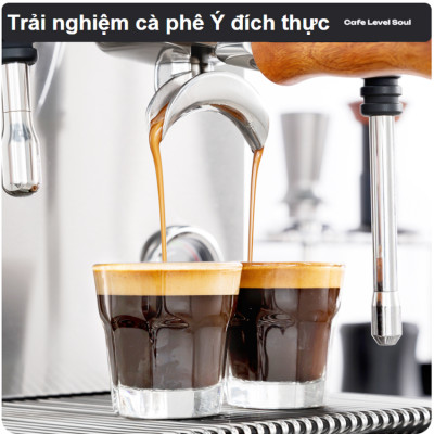 Máy pha cà phê Espresso, Cappuccino, Latte - Dòng chuyên nghiệp. Thương hiệu Mỹ cao cấp HiBREW - H21. HÀNG CHÍNH HÃNG