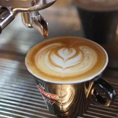 Cà phê hạt Arabica Cầu Đất nguyên chất 100% Coffee Tree 1kg thơm nồng, vị nhẹ, gu tây - Cà phê Đà Lạt tuyển chọn hoàn toàn trái chín rang công nghệ Châu Âu