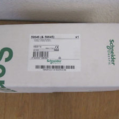 Thiết bị Sepam 59646 (& 59645) kết nối sepam series MES