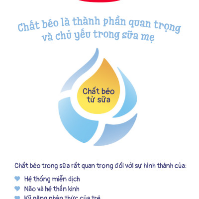 Thùng 12 hộp Sữa bột công thức Semper Nutradefense Baby 2 400g/hộp