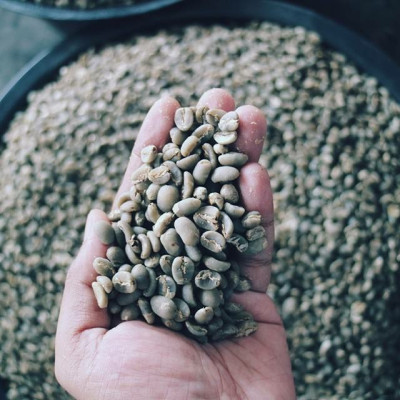 Cà phê hạt 100% nguyên chất truyền thống số 2 Coffee Tree 1kg đậm đà, thơm ngon, gu vừa