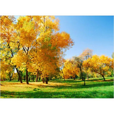 Tranh dán tường cửa sổ 3D | Tranh trang trí 3D | Tranh phong cảnh đẹp 3D | T3DMN_T6_293