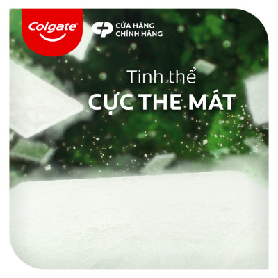 Bộ 3 Kem đánh răng Maxfresh Bamboo Charcoal 225g kèm bàn chải lông tơ phủ than