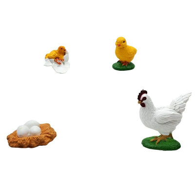 Đồ Chơi Mô Hình Vòng Đời Tự Nhiên - Gà Trống Lớn Lên Như Thế Nào? - Firstar DK81255