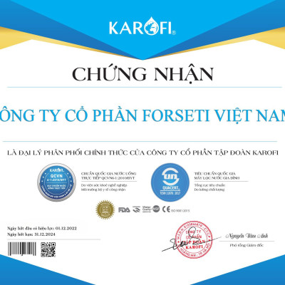 Combo Bộ 10 Cấp Lõi Lọc Karofi bộ lọc thô 1,2,3 và màng RO 50GDP, Cụm chức năng Đúc Nguyên Khối Karofi SMAX Hiệu Suất Cao Hp6.2 Hydrogen - Hàng Chính Hãng