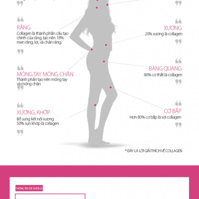 BEAUTY FOOD - FISHCOLLAGEN CAO CẤP TỪ HÀN QUỐC