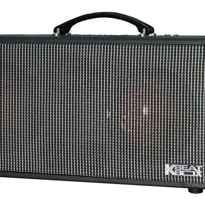 Dàn âm thanh di động xách tay ACNOS KSNET450