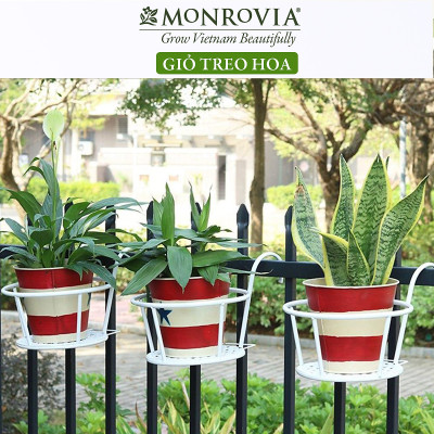 Combo 3 Giỏ treo chậu hoa ban công MONROVIA, giỏ sắt treo chậu hoa ban công, chậu treo ban công, kệ treo ban công, móc treo, khung thép, sơn tĩnh điện chính hãng thương hiệu MONROVIA - Màu Đen