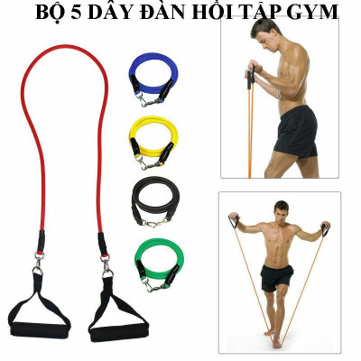 Bộ 5 Dây Ngũ Sắc Tập Thể Lực - Dụng Cụ Tập Gym(Móc Tròn)