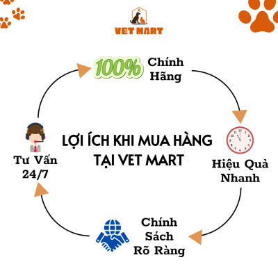 Thuốc Hỗ Trợ Trị Nhiễm Trùng Da, Đường Tiết Niệu Cho Thú Cưng - Five CELEXIN_Hộp 3 Vỉ x 10 Viên