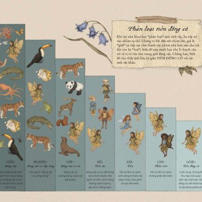 Sách - Cẩm Nang Về Tiên - Bìa Cứng