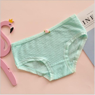 COMBO 10 QUẦN BÔNG THUN XỐP SIÊU XINH 1456