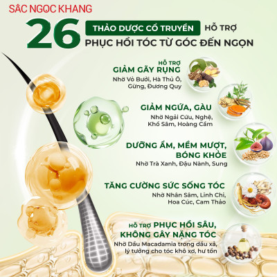 Dầu Gội 26 Thảo Dược Sắc Ngọc Khang - Hỗ Trợ Làm Sạch Sâu, Giảm Gãy Rụng, Nuôi Dưỡng Mái Tóc Chắc Khỏe Bồng Bềnh