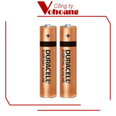 (Hot Sale) Pin AAA Duracell Everyday , Pin Kiềm vỉ 2 viên cho máy nghe nhạc, chuột không dây, bàn phim - Hàng Chính Hãng