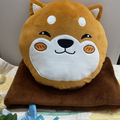 Bộ mền gối văn phòng 3 trong 1 A kích thước 35x35cm