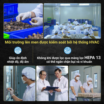 Tỏi Kim Cương Đông Á - Combo 3 hộp tỏi đen cô đơn 300G - SX theo công nghệ Nhật Bản, hỗ trợ tốt cho sức khỏe - Kiểm nghiệm chất lượng bởi Bộ Y Tế, Intertek -