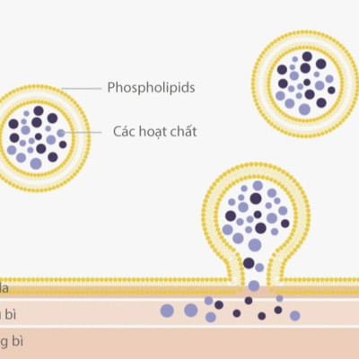 Sữa dưỡng Labo Dermafirm - Ultra Soothing Formula R4 (200ml) phục hồi cho da giãn mao mạch
