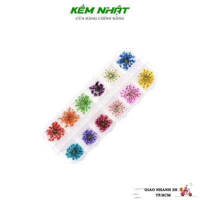 Hoa Khô Chùm Ẩn Gel