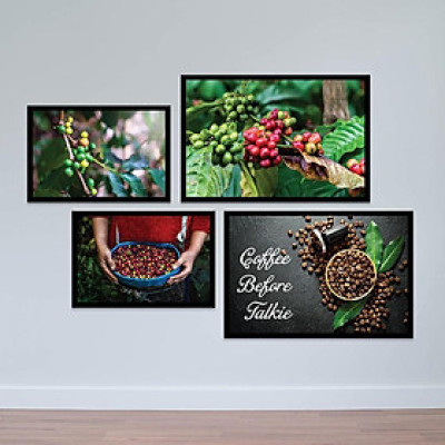 Bộ 4 tranh cho quán cà phê “Hạt cà phê” | Tranh cây cafe W4232