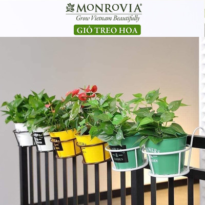 Combo 3 Giỏ treo chậu hoa ban công MONROVIA, giỏ sắt treo chậu hoa ban công, chậu treo ban công, kệ treo ban công, móc treo, khung thép, sơn tĩnh điện chính hãng thương hiệu MONROVIA - Màu Đen