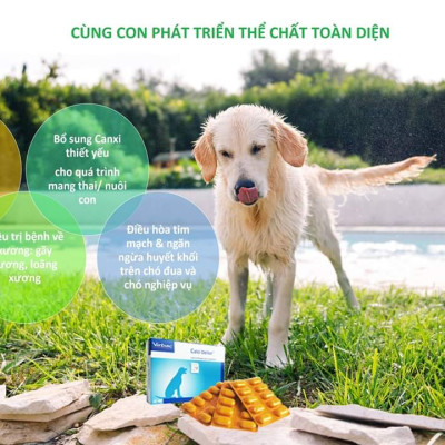 Calci Delice bổ sung Canxi và khoáng chất cho chó (1 hộp x 30 viên)