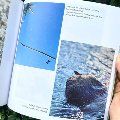 (Sách Song Ngữ) KHÁM PHÁ VIỆT NAM XANH: HÀNH TINH BIỂN - Khám Phá Hệ Sinh Thái Đầy Màu Sắc Dưới Đại Dương - Phạm Thanh Kiều Trang - Alpha Books