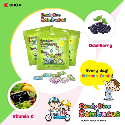Kẹo Dino Sambucus Bổ Sung Kẽm Và Vitamin C Giúp Trẻ Ăn Ngon (20 viên/gói)