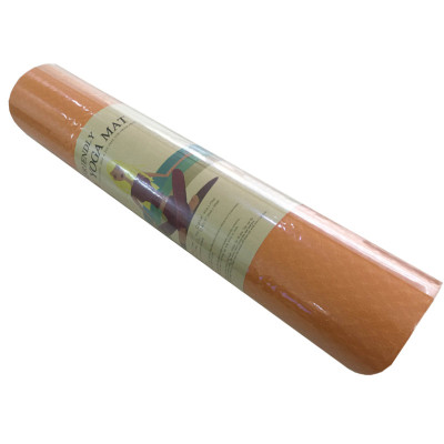 Thảm Tập Yoga Eco Friendly TPE 6mm 2 Lớp Tặng Kèm Túi Đựng Thảm