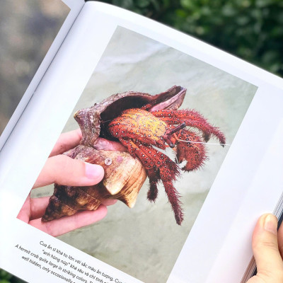 (Sách Song Ngữ) KHÁM PHÁ VIỆT NAM XANH: HÀNH TINH BIỂN - Khám Phá Hệ Sinh Thái Đầy Màu Sắc Dưới Đại Dương - Phạm Thanh Kiều Trang - Alpha Books