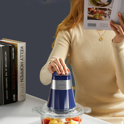 Máy Xay Thịt 2 Lưỡi Kép Yoice Y-JR65 (2L) - Hàng chính hãng