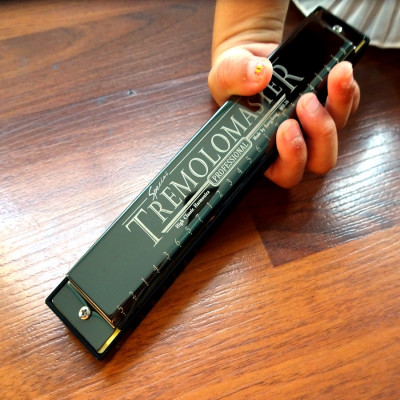 Kèn Harmonica 24 Lỗ Kongsheng Tremolo Master Key C