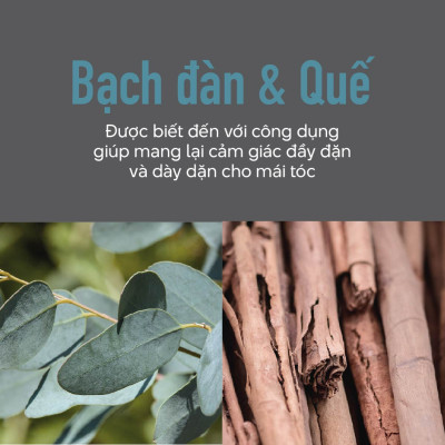 Bọt Tạo Phồng Tóc Goldwell KMS Addvolume Tạo Phồng Nhanh Không Bết, Giữ Độ Phồng Lên Đến 72h - 300ml