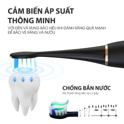 Bàn Chải Điện Lorca TA 9208TB Chải Sạch Mảng Bám, Chống Nước IPX7, Vệ Sinh An Toàn Răng Miệng, Hàng Chính Hãng Cao Cấp