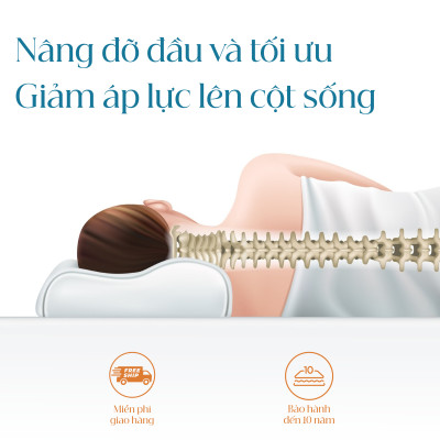 Gối Cao Su Vạn Thành Oval VTGCSO4056 (40 x 64 cm) - Trắng