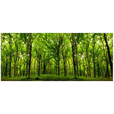 Tranh Dán Tường 3D | Tranh dán tường cửa sổ 3D | T3DMN_T6_272