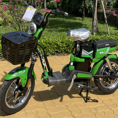 XE ĐIỆN AVA Z6, AVA Z LIMITED