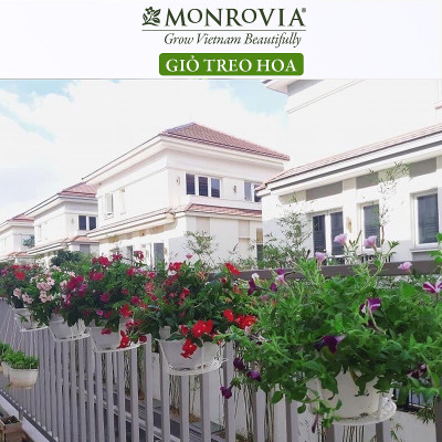 Combo 3 Giỏ treo chậu hoa ban công MONROVIA, giỏ sắt treo chậu hoa ban công, chậu treo ban công, kệ treo ban công, móc treo, khung thép, sơn tĩnh điện chính hãng thương hiệu MONROVIA - Màu Đen