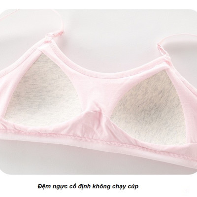Áo Lót Nữ – Áo Lá Học Sinh Cotton Trơn Mút Liền Cài Sau 3 Móc F004 – 5 Màu, Free Size