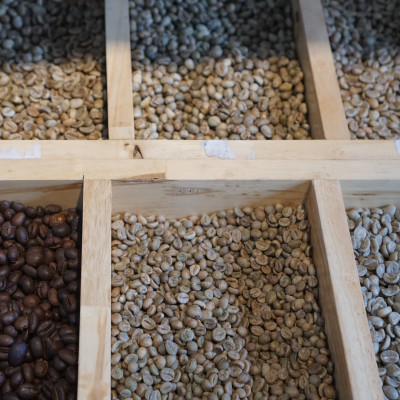 Cà phê hạt nguyên chất Coffee Tree đặc biêt (1kg) gu đậm đắng thơm - Cà phê pha phin hoặc pha máy từ BMT hiệu Coffee Tree