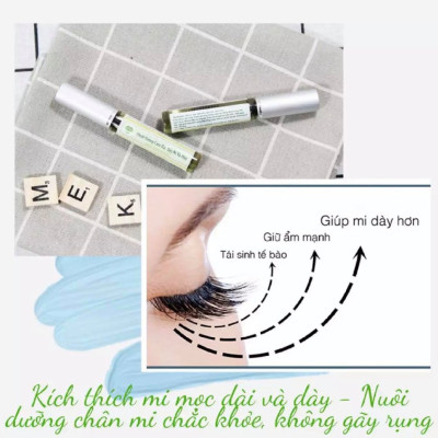 CHUỐT DƯỠNG LÀM DÀI, DÀY LÔNG MI VÀ MÀY MẸ KEN