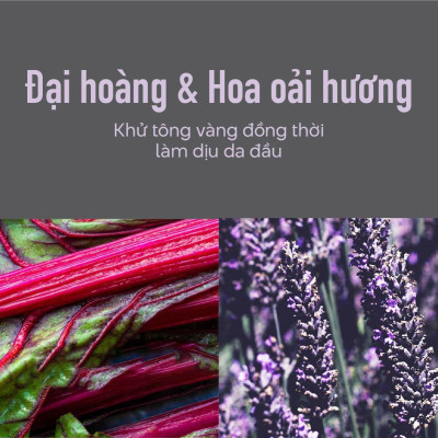 Dầu Xả Tím Khử Vàng Goldwell KMS ColorVitality Blonde Dưỡng Ẩm Và Giữ Màu Tóc Tẩy