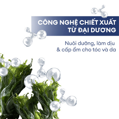 Sữa tắm gội 2 trong 1 cho nam Men Stay Simplicity Hair & Body Advanced Adventurer 2-in-1 Shampoo & Body Wash 250ml